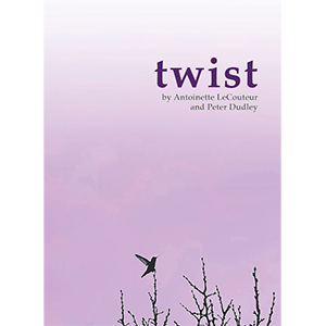 The cover of "twist" which shows a hummingbird in the process of alighting on a branch against a clear desert sky, stylized in a raspberry colored gradient